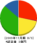 冨士造園 貸借対照表 2009年11月期