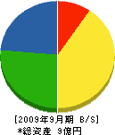 岩崎建設 貸借対照表 2009年9月期