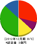 石川テント 貸借対照表 2012年12月期