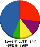水明堂 貸借対照表 2009年12月期