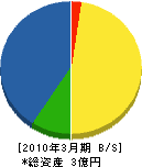 千葉興業 貸借対照表 2010年3月期