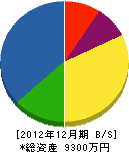 三昭技研 貸借対照表 2012年12月期