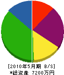 福田 貸借対照表 2010年5月期