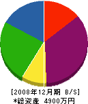 藤田建設 貸借対照表 2008年12月期