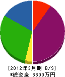 金沢環境整備 貸借対照表 2012年3月期