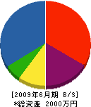 早川塗装 貸借対照表 2009年6月期