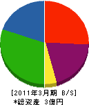 真田電気設備 貸借対照表 2011年3月期