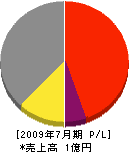松山商建 損益計算書 2009年7月期