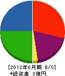袴田工務店 貸借対照表 2012年6月期