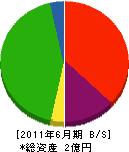 泉川園芸 貸借対照表 2011年6月期