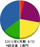 小野幸建設 貸借対照表 2012年6月期