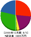 佐賀工務店 貸借対照表 2008年12月期