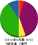 斎藤工務店 貸借対照表 2012年6月期