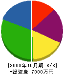 富陽住宅機器 貸借対照表 2008年10月期