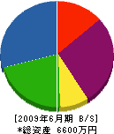 神田建設 貸借対照表 2009年6月期