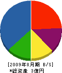 上田建装社 貸借対照表 2009年8月期