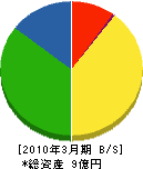 宮崎衛生公社 貸借対照表 2010年3月期