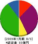 宮沢工業 貸借対照表 2009年1月期