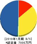 細田工務店 貸借対照表 2010年1月期