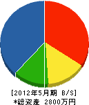 江澤設備工業所 貸借対照表 2012年5月期