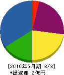 タムラ 貸借対照表 2010年5月期
