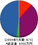 澤田建具製作所 貸借対照表 2009年5月期