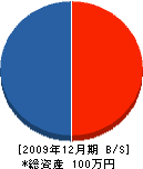 髙見澤敏夫 貸借対照表 2009年12月期 髙見澤敏夫 貸借対照表 2009年12月期