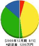 長谷川塗装 貸借対照表 2008年12月期
