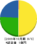 中川組 貸借対照表 2009年10月期