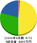 藤沢組 貸借対照表 2008年4月期
