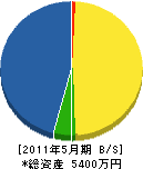 村井電機 貸借対照表 2011年5月期