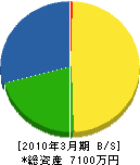 目川工業 貸借対照表 2010年3月期