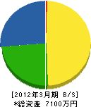 目川工業 貸借対照表 2012年3月期