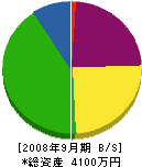 山崎塗装工業 貸借対照表 2008年9月期