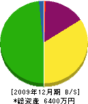 篠田工務店 貸借対照表 2009年12月期