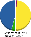 片岡電設 貸借対照表 2010年6月期