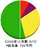 八木橋建業 貸借対照表 2009年12月期