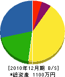 青山建築 貸借対照表 2010年12月期