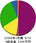 竹川電気 貸借対照表 2009年3月期