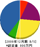 佐々木建設 貸借対照表 2008年12月期