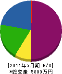 中村電工 貸借対照表 2011年5月期