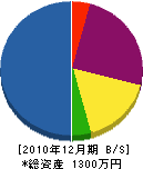 関西工業所 貸借対照表 2010年12月期