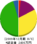 片田工業 貸借対照表 2009年12月期