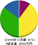 高橋電気工事 貸借対照表 2009年12月期