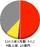 東京ニュークリア・サービス 損益計算書 2013年3月期