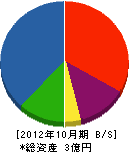 塩崎組 貸借対照表 2012年10月期