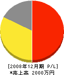 三栄商会 損益計算書 2008年12月期