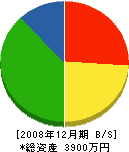 小沢美装 貸借対照表 2008年12月期