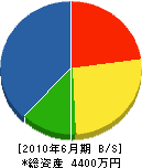 前田鉄工所 貸借対照表 2010年6月期