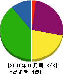 渡辺組 貸借対照表 2010年10月期